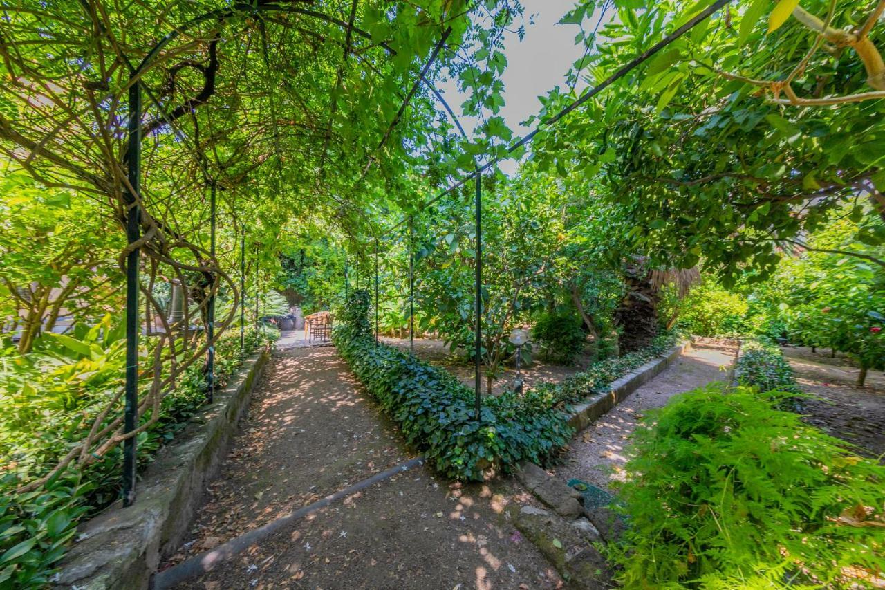 Villa Mezzarancia Palermo Zewnętrze zdjęcie